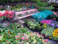 Wochenmarkt in Omegna