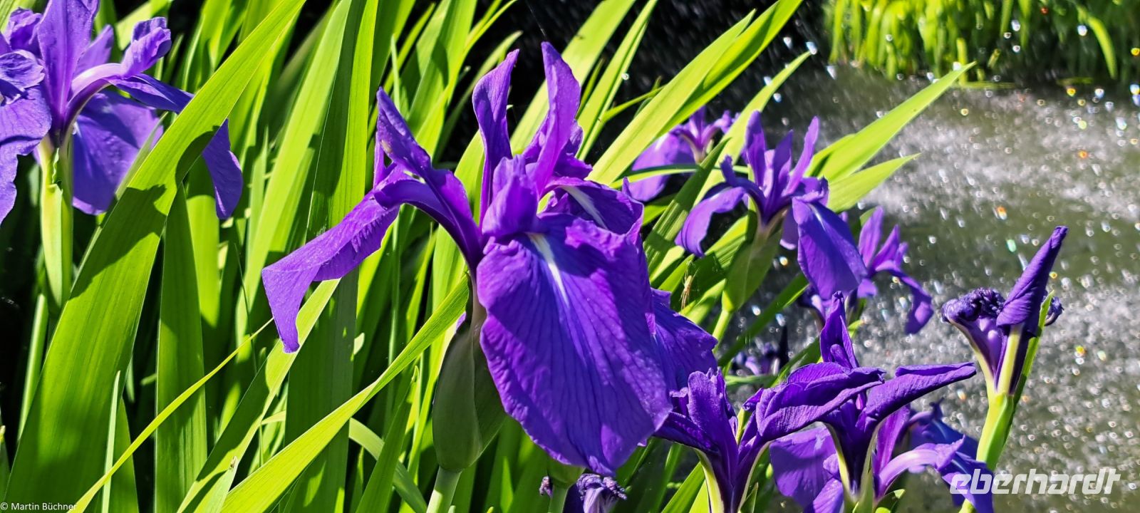 Lago Maggiore - Borromäische Inseln - Isola Bella - Der italienische Garten