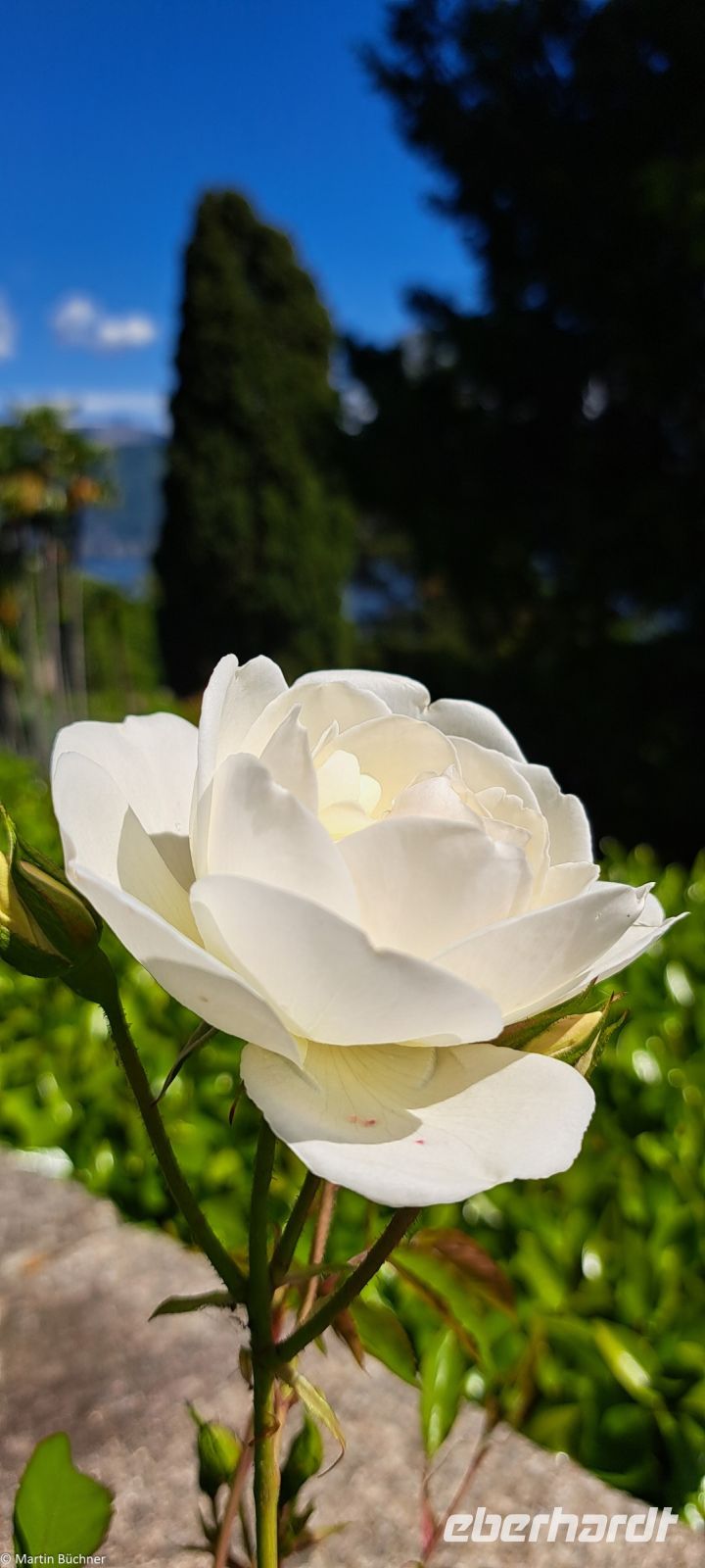 Lago Maggiore - Borromäische Inseln - Isola Bella - Der italienische Garten
