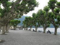 Ascona