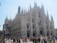 Einmalige Schönheit