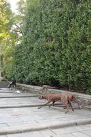 Garten der Isola Madre