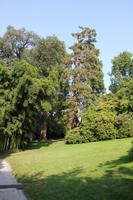 Garten der Isola Madre