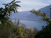 Blick auf den Lago Maggiore