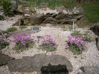 Alpiner Garten auf dem Mottarone