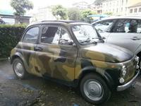Gut getarnt - ich bin ein FIAT 500