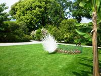 06.06.2013 Isola Madre