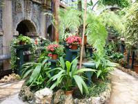 06.06.2013 Isola Bella