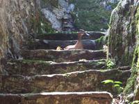 Ortasee - Isola San Giulio 