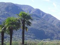 Fantastische Ausblicke bei der Bahnfahrt nach Locarno