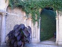 Isola Bella - Lago Maggiore