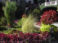 Isola Madre - Lago Maggiore