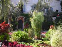 Isola Madre - Lago Maggiore