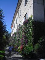 Isola Madre - Lago Maggiore