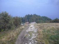 Gipfelweg auf dem Mottarone