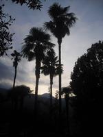Abendstimmung auf der Isola Pescatori - Lago Maggiore