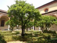 Kruzgang Kirche Maria della Grazie