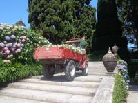 Treppen - kein Himdernis