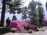 Isola Bella - Lago Maggiore