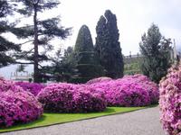 Isola Bella - Lago Maggiore