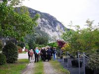 Besuch einer Kameliengärtnerei