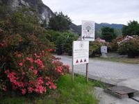 Besuch einer Kameliengärtnerei