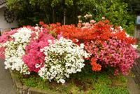 23.04.2015 Stresa, Hafen