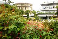 22.04.2015 Gartenbereich Hotel Royal, Stresa