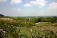 23.04.2015 Weinfelder um Arona