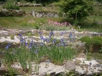 Alpinen Gartenh auf dem Mottarone