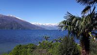 Comer See (Bellagio - Punta Spartivento)