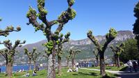 Comer See (Bellagio - Punta Spartivento)