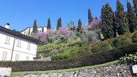 Comer See (Bellagio)