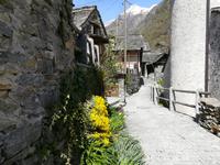 Dorfstrassenidyll.