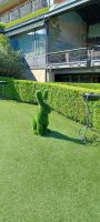 Hotel Dino -Garten