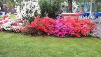 Hotel Royal in Stresa