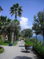 ISOLA MADRE