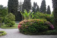 Isola Bella - Gartenanlagen