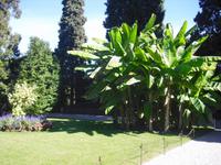 Isola Bella - Lago Maggiore