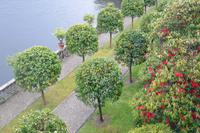 Isola Bella