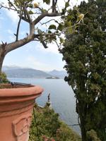 Isola Bella