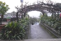 Isola Madre