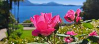 Lago Maggiore - Borromäische Inseln - Isola Bella - Der italienische Garten