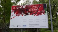 Locarno (Kamelienpark)