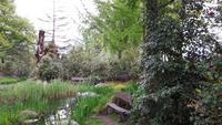 Locarno (Kamelienpark)