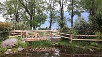 Locarno (Kamelienpark)
