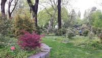 Locarno (Kamelienpark)