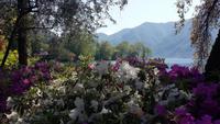 Lugano