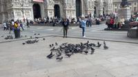 Mailand, Domplatz
