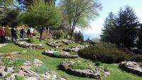 Monte Mottarone - Botan. Garten 